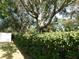 Landscaped hedge provides privacy and curb appeal at 4085 Sw 49Th Ave, Ocala, FL 34474
