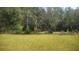 Wooded backyard with grassy area at 1609 Chelsea Manor Cir, Deland, FL 32724