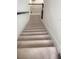 Carpeted staircase with dark wood railing at 1609 Chelsea Manor Cir, Deland, FL 32724