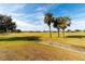 Scenic view of a golf course with palm trees and homes at 9551 Sw 70Th Loop, Ocala, FL 34481