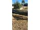 View of the backyard with dry grass, a patio, and a shed at 5324 Nw 1St St, Ocala, FL 34482