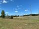 Lush green baseball field with lights, fencing, and dugouts at 6821 Se 103Rd Pl, Belleview, FL 34420