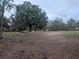 Large land area with trees and some debris at 18695 Ne 5Th Terrace Rd, Citra, FL 32113