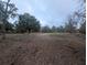 Cleared pasture land with trees in the background and a feeding trough at 18695 Ne 5Th Terrace Rd, Citra, FL 32113