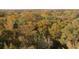 Aerial view of a vast forest with diverse trees at 17935 Se 10Th Pl, Silver Springs, FL 34488
