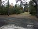 Wooded backyard with gravel path at 17935 Se 10Th Pl, Silver Springs, FL 34488