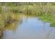 Narrow creek with tranquil water and natural growth at 17935 Se 10Th Pl, Silver Springs, FL 34488