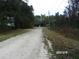 Gravel driveway leading to a home nestled in a wooded area at 17935 Se 10Th Pl, Silver Springs, FL 34488