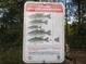 Sign displaying Florida's statewide largemouth bass fishing regulations at 17935 Se 10Th Pl, Silver Springs, FL 34488