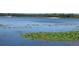 Scenic lake view with lush vegetation at 17935 Se 10Th Pl, Silver Springs, FL 34488
