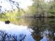 Tranquil river view with lush greenery reflecting on the water at 17935 Se 10Th Pl, Silver Springs, FL 34488