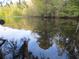 Calm river reflecting the surrounding trees and sky at 17935 Se 10Th Pl, Silver Springs, FL 34488