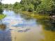 Serene river view with lush green vegetation at 17935 Se 10Th Pl, Silver Springs, FL 34488