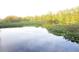 Picturesque waterfront view with lush vegetation and calm water at 17935 Se 10Th Pl, Silver Springs, FL 34488