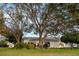 Backyard view of home with large trees and landscaping at 4707 River Ridge Dr, Leesburg, FL 34748