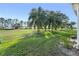 View of backyard with lush grass, palm trees, and a glimpse of a golf course at 13195 Se 93Rd Cir, Summerfield, FL 34491