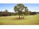 Landscaped golf course with mature trees at 13195 Se 93Rd Cir, Summerfield, FL 34491