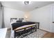 Modern bedroom with a metal bed frame and patterned rug at 2751 Ne 46Th St, Ocala, FL 34479