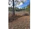 Overgrown vacant lot with mature trees at 16510 Se 49Th Street Road, Ocklawaha, FL 32179