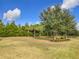 Landscaped backyard with lush trees and grass at 7732 Sw 94Th Cir, Ocala, FL 34481