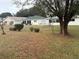 Landscaped backyard with lawn and trees at 9117 Sw 93Rd Cir, Ocala, FL 34481