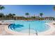 Relaxing freeform pool with shaded seating areas at 9287 Sw 60Th Court Rd, Ocala, FL 34476