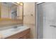 Clean bathroom with shower and updated vanity at 11852 Se 71St Ct, Belleview, FL 34420