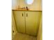 Built-in double door cabinet in bathroom at 15025 Sw 24Th Cir, Ocala, FL 34473