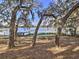 Peaceful lakefront property with lush trees and a dock at 10655 Ne 224Th Place Rd, Fort Mc Coy, FL 32134