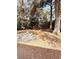 Wooded backyard with palm fronds at 2341 Ne 42Nd St, Ocala, FL 34479