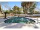 Private backyard with a kidney-shaped pool and tropical landscaping at 2528 Se 15Th St, Ocala, FL 34471