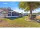 View of backyard with two palm trees and homes at 9158 Sw 91St Ter, Ocala, FL 34481