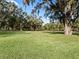Large grassy area with mature oak trees and lush landscaping at 3000 Nw 79Th Avenue Rd, Ocala, FL 34482