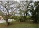 Large backyard with mature trees and privacy at 34 Pine Rd, Babson Park, FL 33827