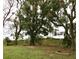 Large backyard with mature trees at 34 Pine Rd, Babson Park, FL 33827