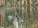 Two decoys floating on a calm lake with tall grasses at 103 Lake Thomas Dr, Winter Haven, FL 33880