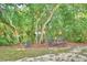 Small metal table and chairs underneath a large tree in a lush, green backyard at 4920 Old Lucerne Park Ne Rd, Winter Haven, FL 33881