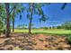 Partial view of green golf course at 1608 Forest Hills Ln, Haines City, FL 33844