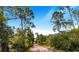 Long driveway leading into a wooded area with lush vegetation at 12510 Lake Hatchineha Rd, Haines City, FL 33844