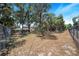 Large backyard with chain link fence and mature trees at 8881 Cypresswood Dr, Lake Wales, FL 33898