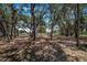 Peaceful backyard with mature trees providing ample shade at 8881 Cypresswood Dr, Lake Wales, FL 33898