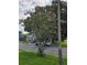 Crape myrtle tree in full bloom adds curb appeal to this home at 3130 Prairie Dunes W Cir, Lakeland, FL 33810