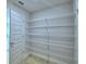 Walk-in pantry with ample shelving at 1261 Tagliamento Ln, Haines City, FL 33844