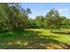 Spacious backyard with lush grass and mature trees at 1001 Tequesta Trl, Lake Wales, FL 33898