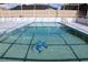 Inviting pool with dolphin mosaic and screened enclosure at 6750 Winterset Gardens Rd, Winter Haven, FL 33884