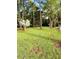 Lush green lawn with mature trees and a relaxing atmosphere at 1100 Martinique Dr # 208, Winter Haven, FL 33884