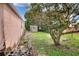 Backyard with a shed and overgrown tree at 512 N 4Th St, Haines City, FL 33844