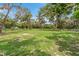 Spacious grassy backyard with mature trees providing shade at 3038 Spirit Lake Dr, Winter Haven, FL 33880