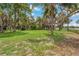 Large backyard with lush grass, mature trees, and a partially visible home at 3038 Spirit Lake Dr, Winter Haven, FL 33880