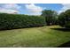 Private backyard with lush lawn and hedges at 3832 Traditions N Blvd, Winter Haven, FL 33884